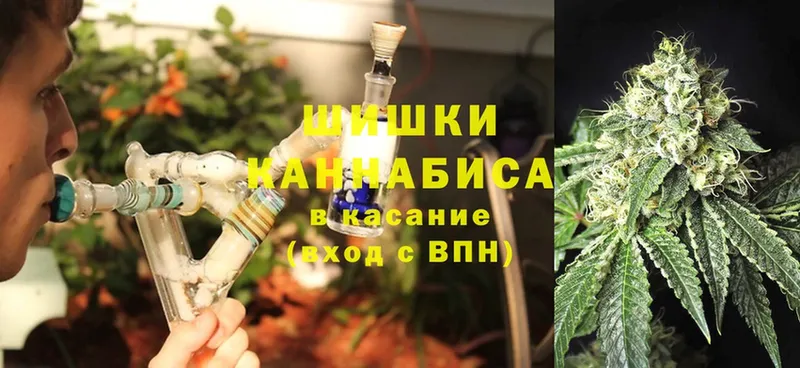 Канабис SATIVA & INDICA  как найти наркотики  Покров 